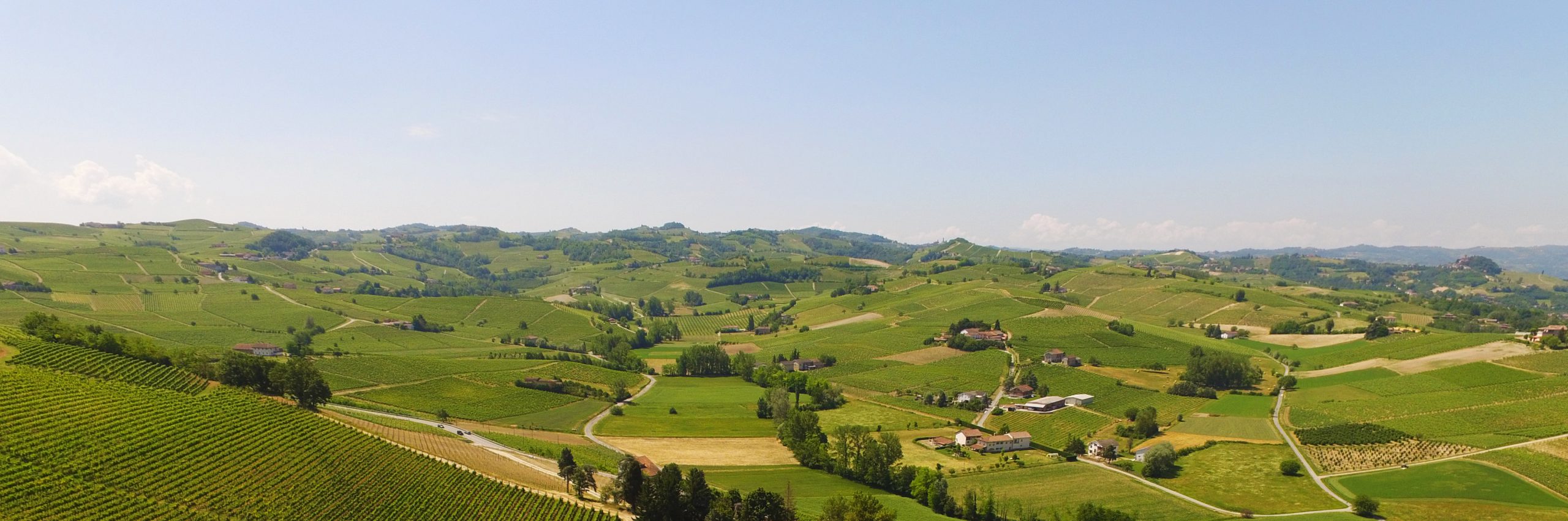 Colline di Langa astigiana